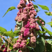 Kategoriename Kategoriename